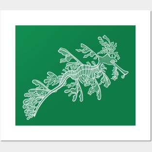 Hand drawn Leafy Seadragon - marine animal design Posters and Art